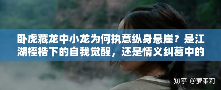 臥虎藏龍中小龍為何執(zhí)意縱身懸崖？是江湖桎梏下的自我覺醒，還是情義糾葛中的終極抉擇？